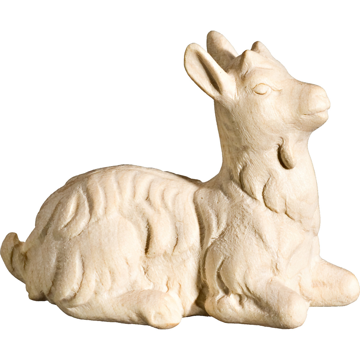 Cabrito agachado